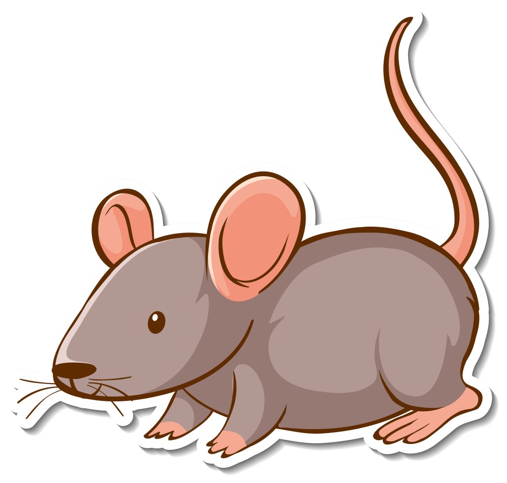 Tikus di Rumah Baroto